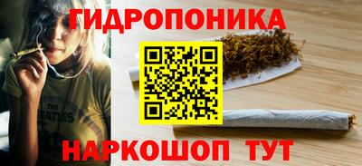 стаф Рязань