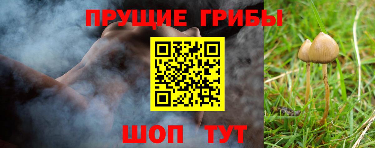 Псилоцибиновые грибы Psilocybine cubensis  Вход с VPN  Псилоцибиновые грибы Psilocybine cubensis  Советский 